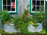 Tub Of Flowers Patio Canvas Outdoor-Indoor Wall Art