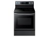 NE59N6650SG Samsung Electric Range - 5.9 cu. ft. Black Stainless Steel