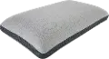 700753947-8099 Beautyrest Absolute Relaxation Memory Foam Pillow