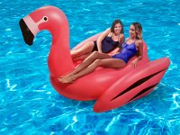 Flamingo 2 Person Pool Float