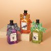 Assorted Lighted Glass Halloween Tincture Bottle