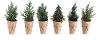 Assorted Faux Tree Arrangement with Paper Wrapped Pot