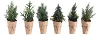 Assorted Faux Tree Arrangement with Paper Wrapped Pot