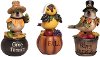 Assorted Resin Bird Pilgrim Figurine
