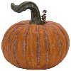 Orange Pumpkin With Long Stem