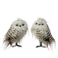 Assorted Brown and White Winter Owl