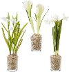 Assorted Potted White Flower Arrangement