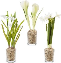 Assorted Potted White Flower Arrangement