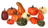 2-4 Inch Mixed Harvest Box of Pumpkins and Gourds