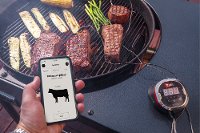 7203 Weber iGrill 2 Grill Thermometer-3