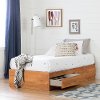 11676 Country Pine Twin Mates Bed - Logik