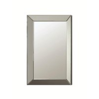 Transitional Rectangle Accent Wall Mirror