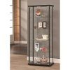 Black Contemporary Glass Curio Cabinet