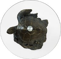 Rustic Turtle Glass Top Accent Table - Sheldon-2