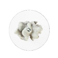 Coral Reef Glass Top Accent Table - Sheldon-2