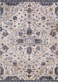 5 x 8 Medium Ivory, Gray, and Blue Rug - Olympus