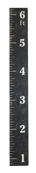 DA8429/GROWTHRULER Black MDF Ruler Growth Chart Wall Decor