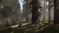 XB1 TK2 49891 Red Dead Redemption 2 - Xbox One-4