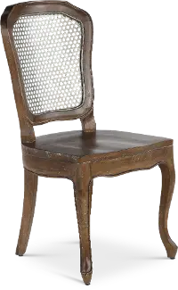 Timberwood Metal Mesh Back Dining Room Side Chair - Soulan