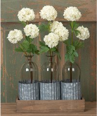 3 Glass Bottles in Ruffle Tin Holder with Wooden Tray