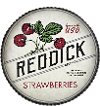 12 Inch Berry Patch Decorative Pie Tin Wall Decor