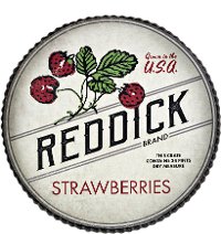 12 Inch Berry Patch Decorative Pie Tin Wall Decor