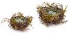 Set of 2 Robins Nests With Eggs
