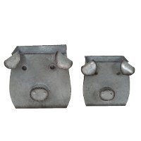 9 Inch Galvanized Tin Pig Planter