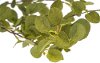 Clearance Magnolia Home Furniture Faux Aspen Branch for Arrangement