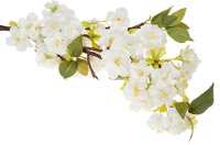 Magnolia Home Furniture Faux Blossoms Branch for Arrangement
