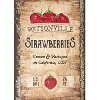9 Inch Iron Berry Patch Canister with Wood Lid-3
