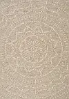 5 x 8 Medium Beige and Cream Indoor-Outdoor Area Rug - Vista