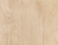 Ash Finished Coffee Table - Chicago-6