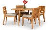 Clearance Natural Eucalyptus 5 Piece Patio Dining Set - Glades