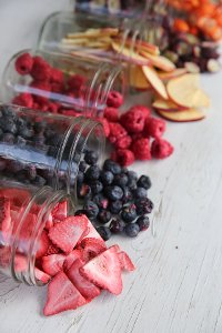 KIT Harvest Right Medium Red Freeze Dryer and Starter Kit