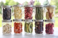 Harvest Right Small Black Freeze Dryer and Starter Kit-3