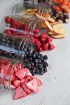Harvest Right Small White Freeze Dryer and Starter Kit