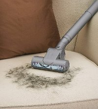 NV360 Shark Navigator Lift-Away Deluxe Upright Vacuum-8