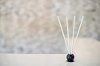 White Tea and Fig 10 Piece Pre-Scented Sticks with Vase