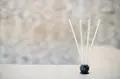 White Tea and Thyme 25 Piece Pre-Scented Sticks with Vase