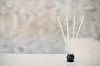 White Tea and Thyme 10 Piece Pre-Scented Sticks with Vase