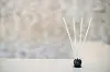 Black Mink 10 Piece Pre-Scented Sticks with Vase