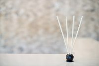 Pine Forest 10 Piece Pre-Scented Sticks with Vase