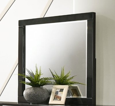 Modern Dark Brown Mirror - Chantal