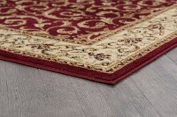 ELG5400-5X7 5 x 7 Medium Ivory, Gold, and Red Area Rug - Elegance-4