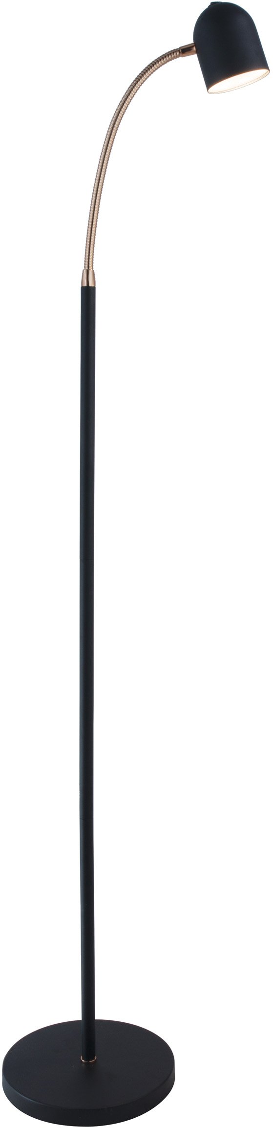 Black and Antique Brass Transitional LED Floor Lamp - Tiara-1