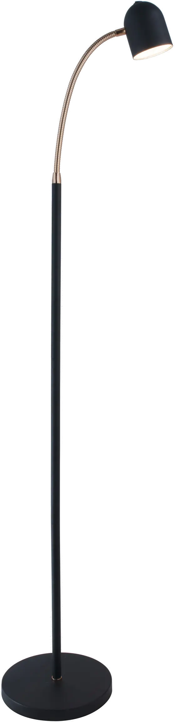Black and Antique Brass Transitional LED Floor Lamp - Tiara-1