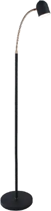 Black and Antique Brass Transitional LED Floor Lamp - Tiara