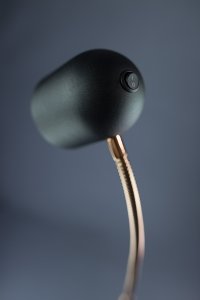 Black and Antique Brass Transitional LED Floor Lamp - Tiara-2