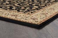 ELG54035X7 5 x 7 Medium Ivory, Gold, and Black Area Rug - Elegance-4